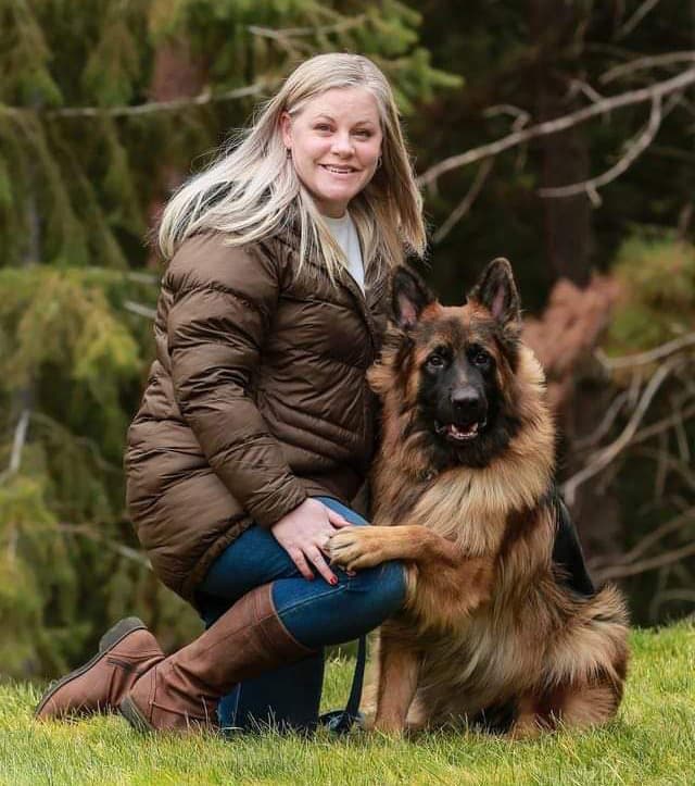 Long Coat Adult German Shepherd Dog with His Owner
