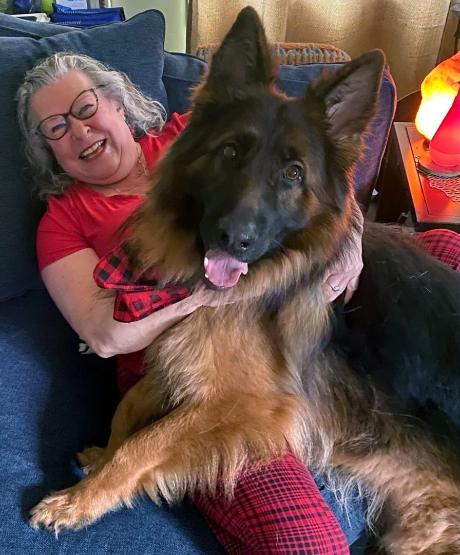 Long Coat Male Lap Dog (Not)