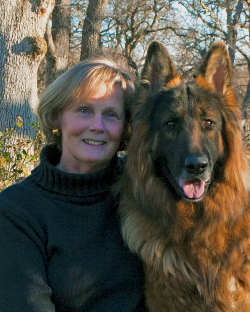 Woman and Her Long Coat German Shepherd Dog
