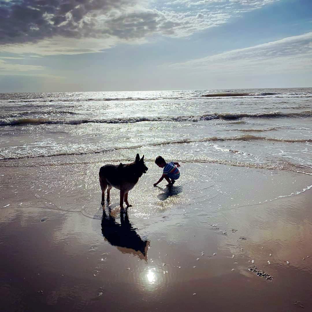 child and dog at beach