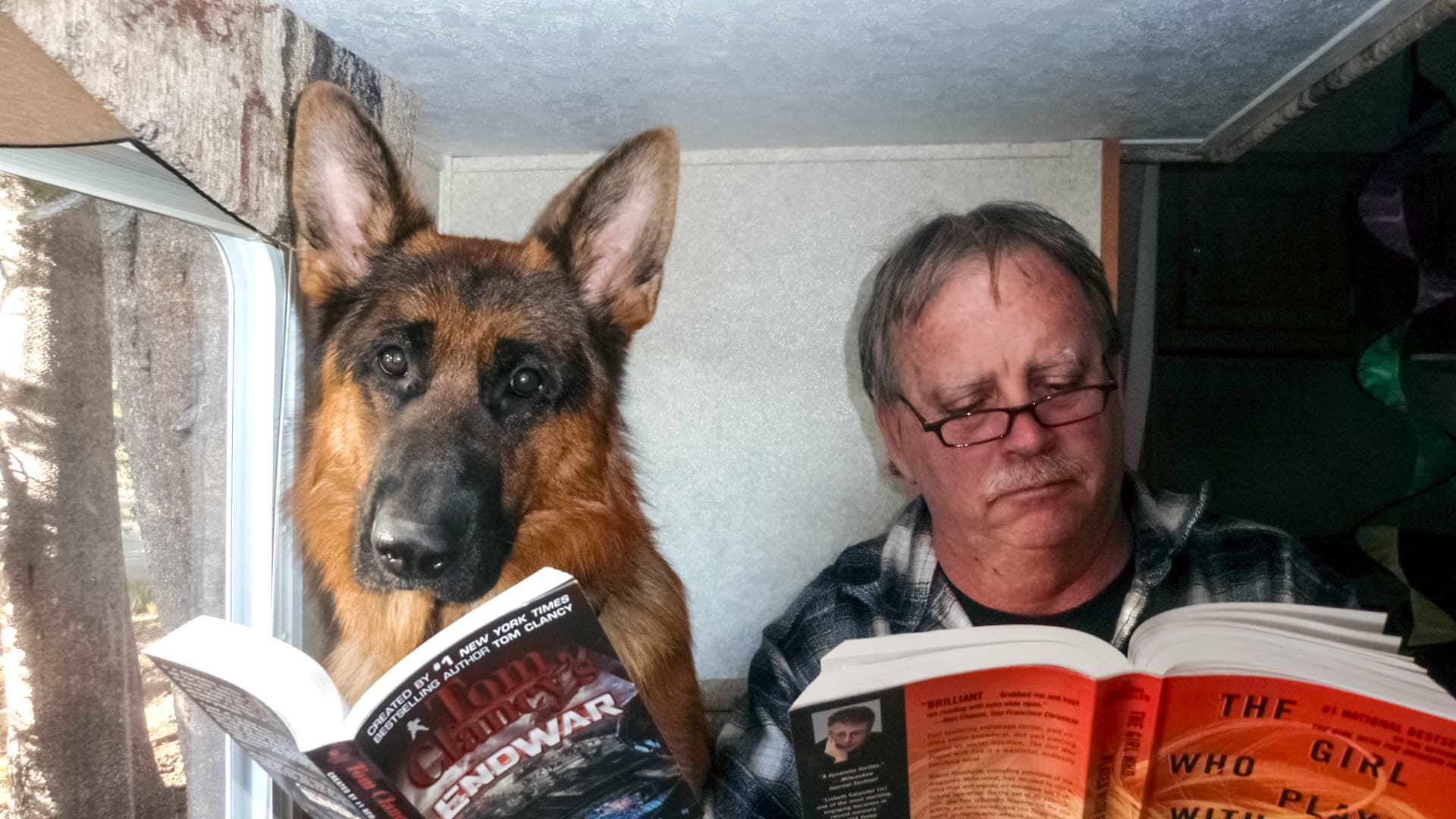 Adult Male German Shepherd Dog with Owner in RV