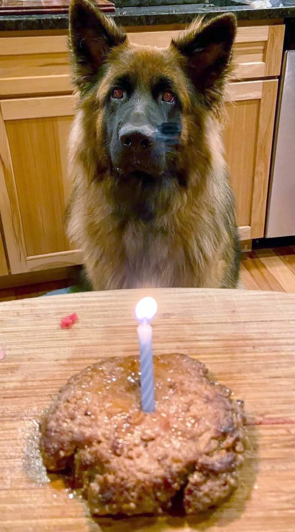 dog birthday
